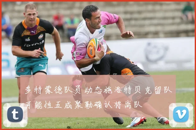 多特蒙德队员动态施洛特贝克留队可能性五成聚勒确认将离队