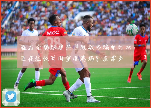 猛龙全场球迷热烈致敬洛瑞绝对功臣在垃圾时间重返赛场引发掌声